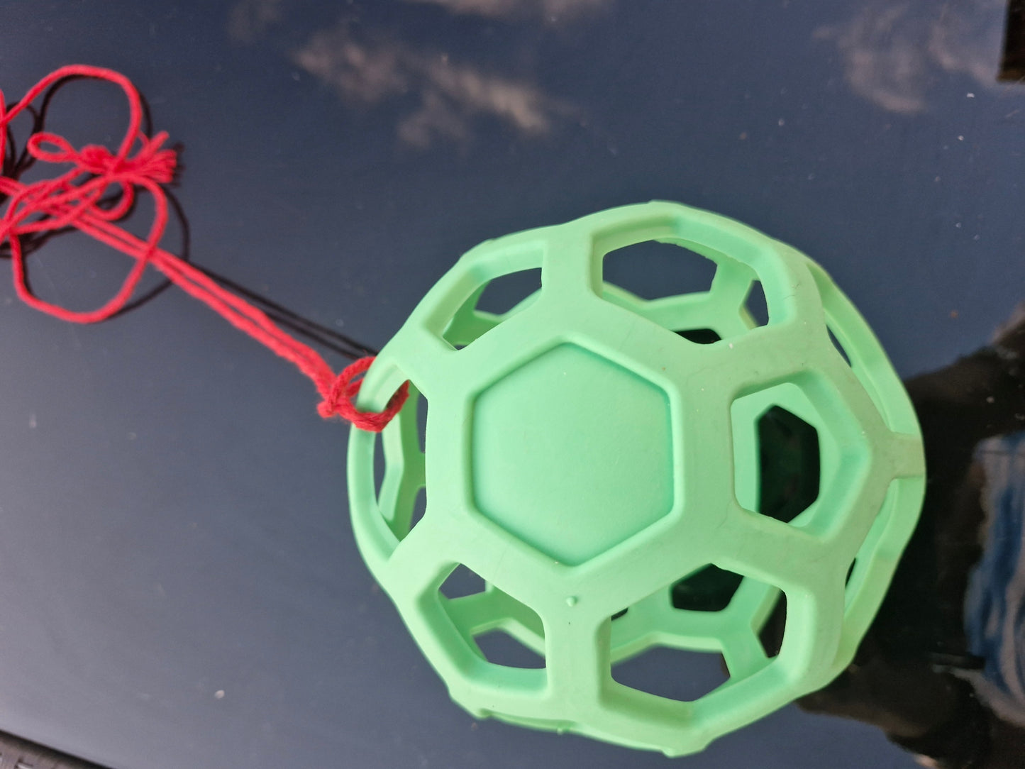 Mini Treat Ball
