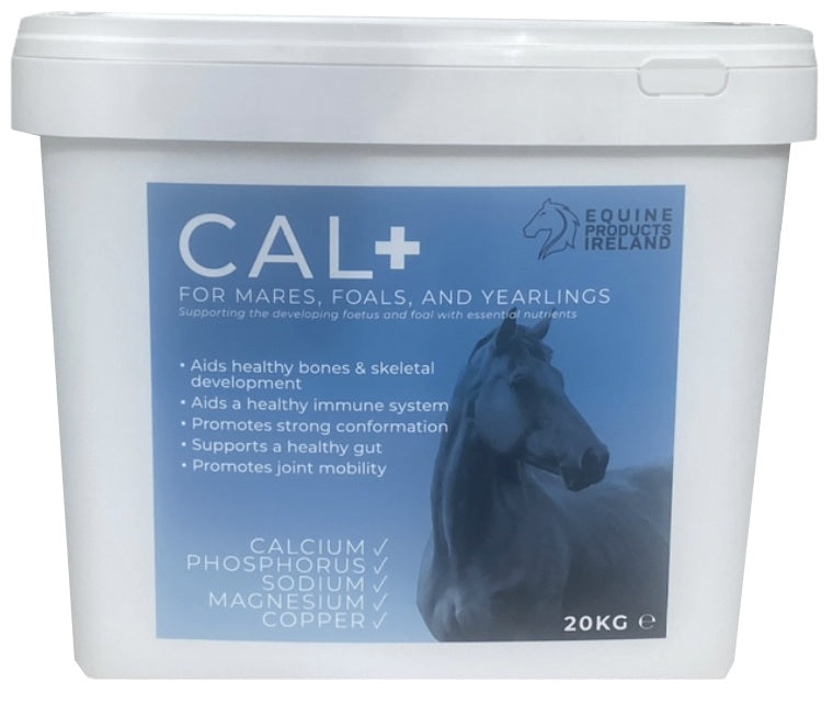 Cal + For Mares, Foals & Yearlings