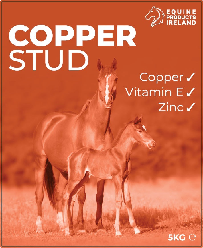 Copper Stud