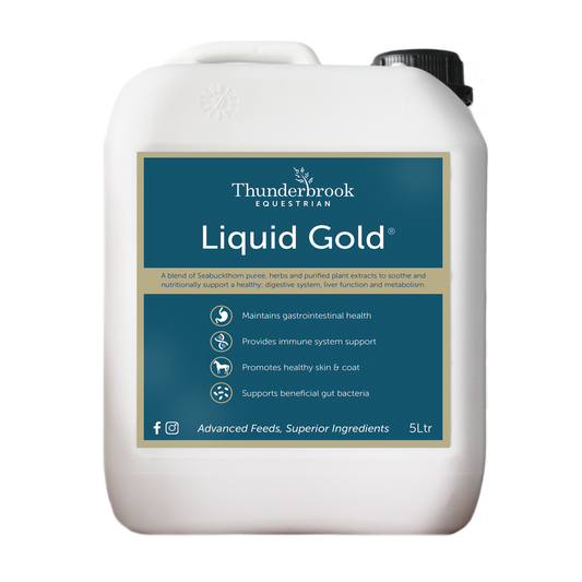 Thunderbrook Liquid Gold 2 L