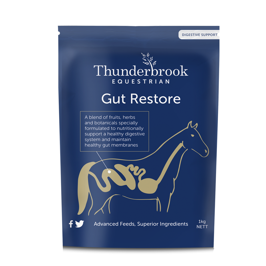 Thunderbrook Gut Restore 1 kg