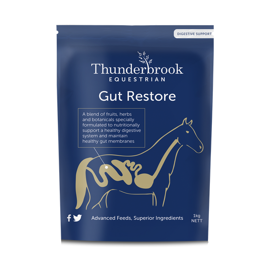 Thunderbrook Gut Restore 1 kg