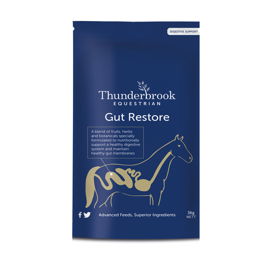 Thunderbrook Gut Restore 3 kg