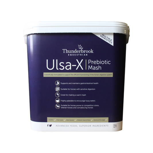 Thunderbrook UlsaX Prebiotic Mash 5 kg