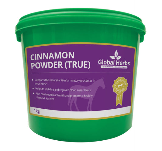 Global H Cinnamon Powder (X) 1 kg