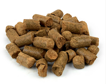 Cinnamon (True) Treats